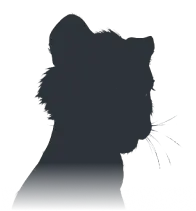 Current level image